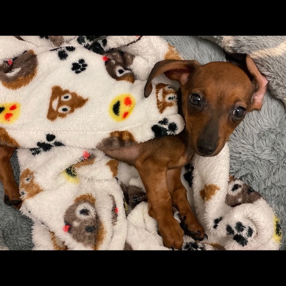 THANK YOU ❤️ - Picture 4 of 14